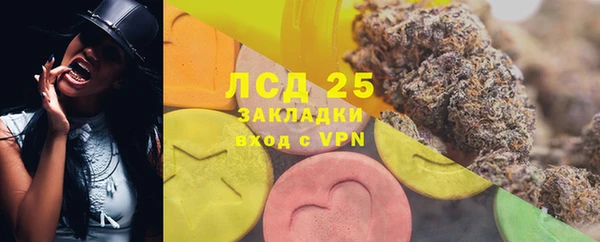 PSILOCYBIN Горнозаводск